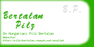 bertalan pilz business card